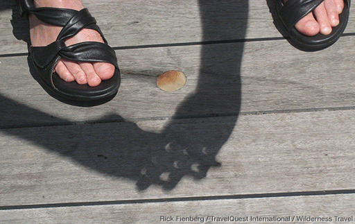 2022 Parçalı Güneş Tutulması ve İzleme Yöntemleri