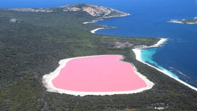 hillier-golu-pembe-rengin-sirri-ve-ekstremofil-mikroorganizmalar-RKuxK9c9.jpg