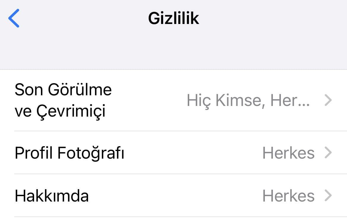WhatsApp’ta Görünmez Olmanın Yolları