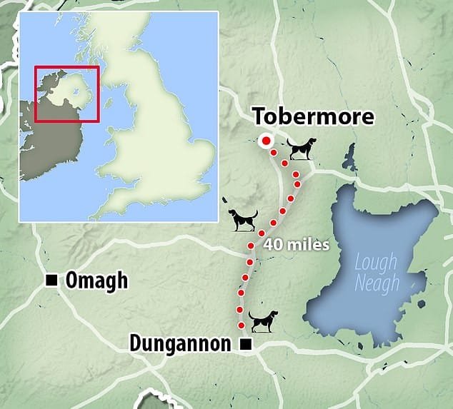 Cooper'ın Olağanüstü Yolculuğu