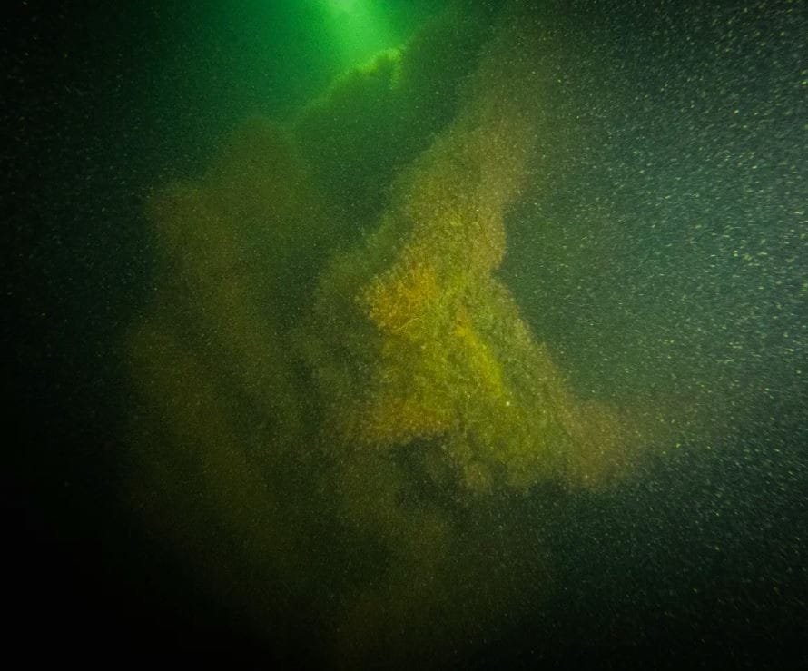 Denizaltı Enkazının Keşfi