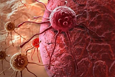 Dünyanın En Faydalı Sebzesi: Tere ve Sağlık Faydaları