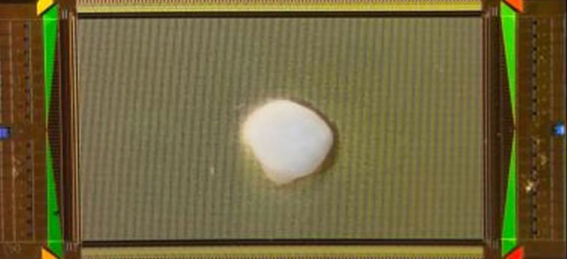 İnsan Beyninin Gücü ve Siborg Bilgisayarlar