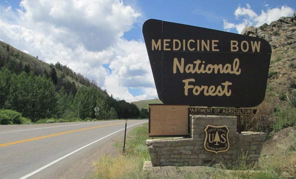 Kemik Savaşları: Dinozorların Keşfi Üzerine İki Bilim İnsanı Arasındaki Mücadele