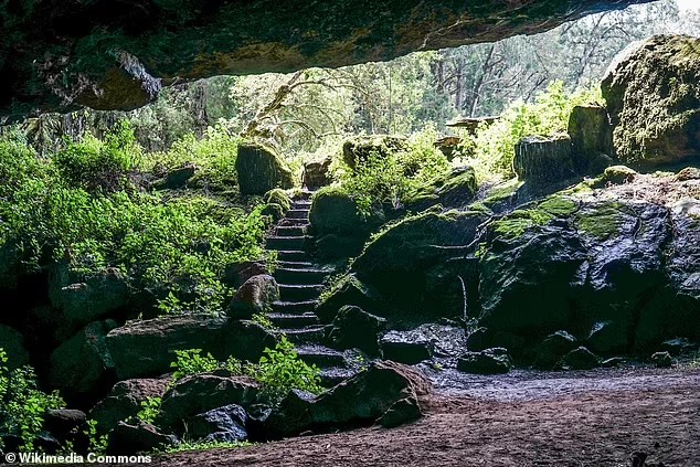 Kitum Mağarası: Doğanın Gizemli Tehlikesi