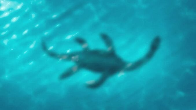 loch-ness-canavarinin-pesinde-2023-yili-av-yili-dSmZXDUV.jpg