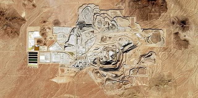 Tehlikeli Kenevir Çiftlikleri