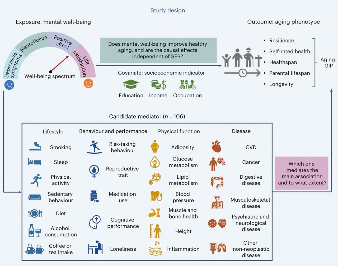 Mendel Rastgeleleştirmesi ile Gerçekleştirilen Araştırma