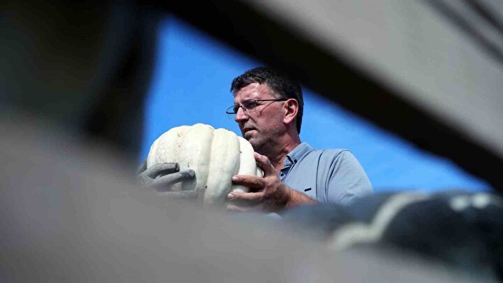 Lezzetli Kabak Tatlısı: Elmas Gibi