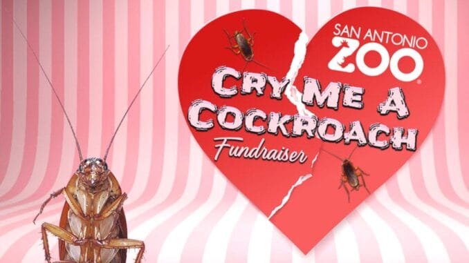 san-antonio-hayvanat-bahcesinde-sevgililer-gunu-icin-sira-disi-uygulama-GcFCXJza.jpg