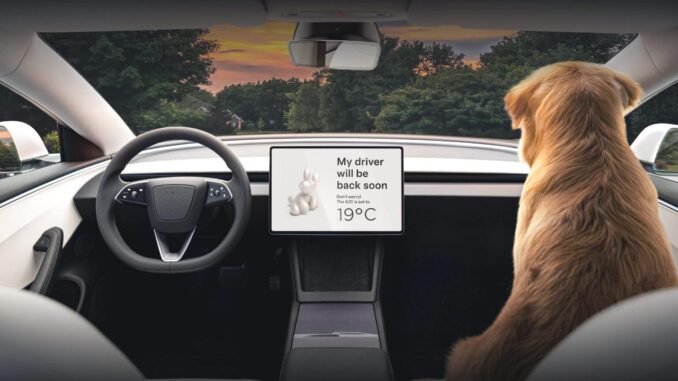 teslanin-otonom-robotaksi-projesinde-gecikme-jZi6RlwU.jpg