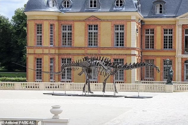 Vulcain: Dev Apatosaurus İskeleti Açık Artırmaya Çıkıyor