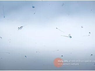 Yapay Zeka ile Sperm Sağlığını Değerlendiren Yeni Yöntem - MakineTamir