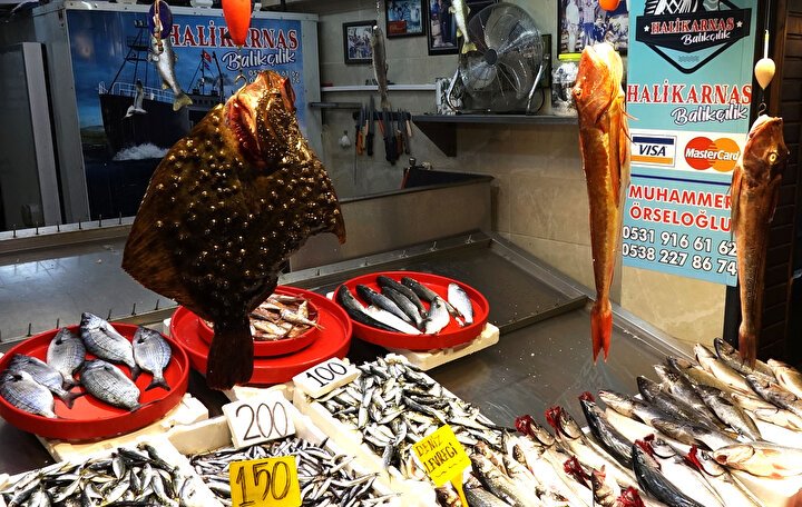 Balık Sezonu Açıldı: Fiyatlar ve Çeşitlilik