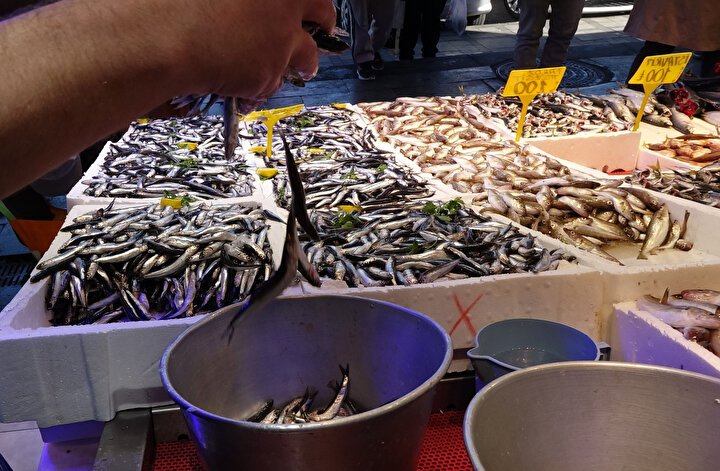 Balıkçıların Görüşleri