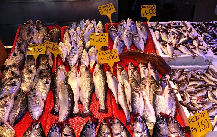 Balık Sezonu Açıldı: Fiyatlar ve Çeşitlilik