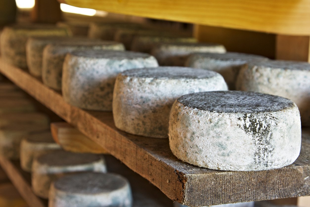 Küflü Peynirler ve Sağlık Üzerindeki Etkileri